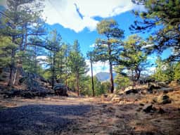 Bobcat`s Casita- Primal Serene Surroundings, Nearby: Lake Estes, 9 and 18 hole golf, Stanley Hotel! - Image 5