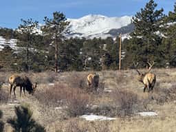 High Drive- So Close to the RMNP Entrance! - Image 2
