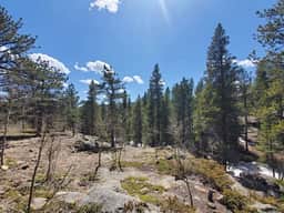Ridgeview- Nestled in the heart of wilderness - Image 4