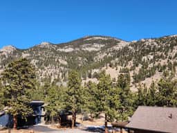Wildflower Retreat- Close To The RMNP - Image 4