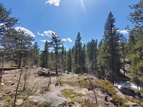 Ridgeview- Nestled in the heart of wilderness - Image 4